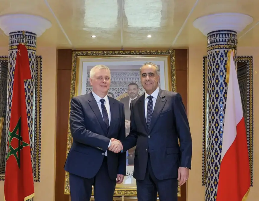 حموشي يستقبل الوزير المنتدب لدى الوزير الأول المكلف بالتنسيق بين المصالح الأمنية والأجهزة الخاصة بدولة بولونيا